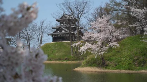 Around Joetsu castle during cherry blossom Stock Footage 128304641