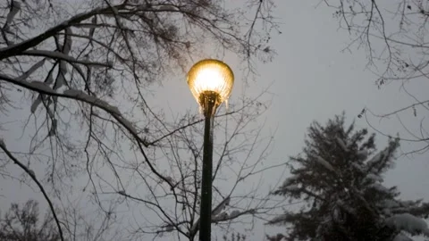 Around the lantern in the park Stock Footage 228752785