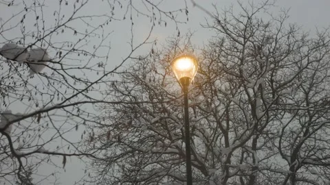 Around the lantern in the winter park Stock Footage 228753253