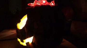 Around a large pumpkin Stock Footage 85853489