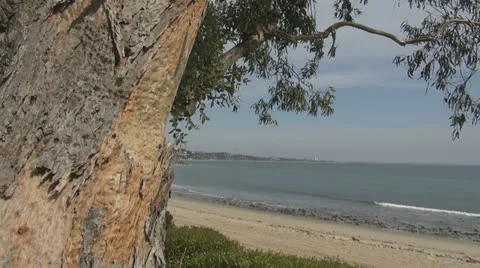 Around the ocean 스톡 동영상 10843674