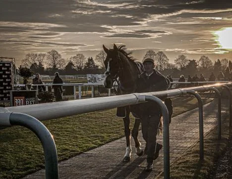 Around the Paddock Foto stock