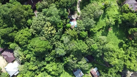 Around the Temple Stock Footage 283421505