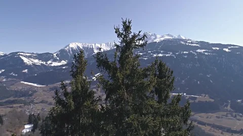 Around Trees Maountain Valley View Aerial 4k Stock Footage 77464352