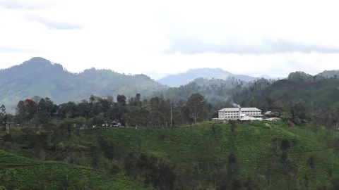 Around View Of A Tea Estate With A Tea Factory From High Mountain. Stock Footage 171272884
