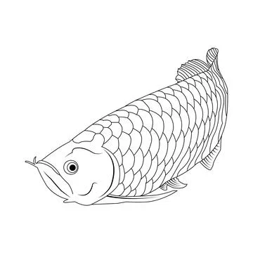 Arowana fish icon Stock Illustration