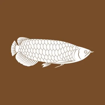 Arowana fish icon Stock Illustration