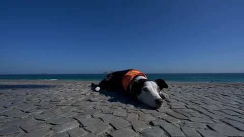 Arpoador, famous  beach in Rio de Janeiro, Brazil Stock Footage 95531659
