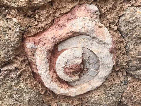 Arqueological Stock Photos