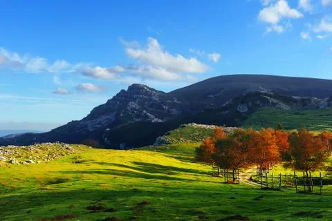 Arraba fields in Gorbea Stock Photos