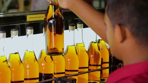 Arrack bottle inspetion Video stock 288232486