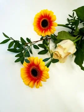 Arranged flowers Stock Photos