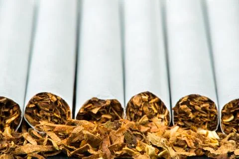 Arranged in a row cigarettes Stock Photos