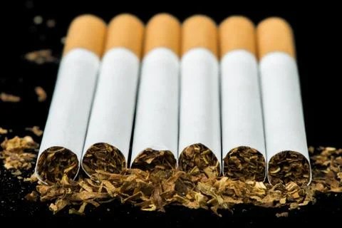 Arranged in a row cigarettes Stock Photos
