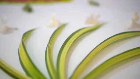 The arrangement of the bed in the hotel Stock Footage 132123283