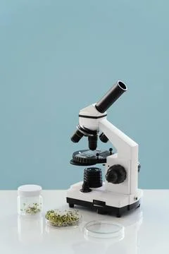 Arrangement with microscope plants Photos