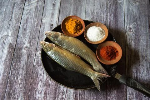 Arrangement of raw fish Stock Photos