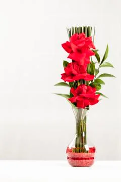 Arrangement of roses Stock Photos