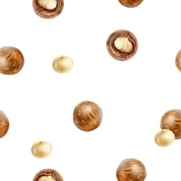 An arrangement seamless watercolor pattern of macadamia nuts, white background Stock Illustration