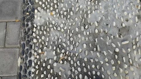 The arrangement of small rocks on the garden path is very beautiful Stock Footage 218244490