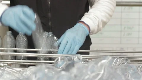 Arranging bottles on assembly line Stock Footage 77051939