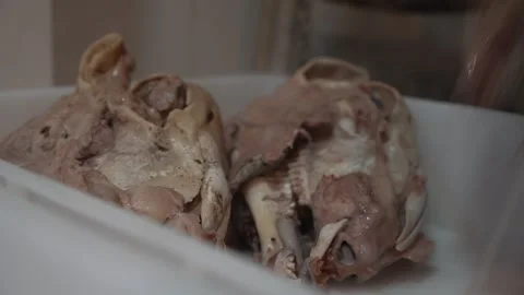 Arranging a Braised Lamb's Head in a Tray Stock Footage 264779182