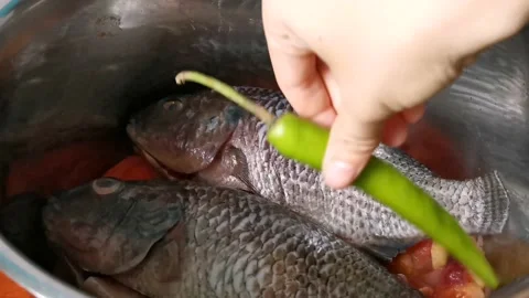 Arranging Chillies inside A Fish Vegetable Soup Stock Footage 159319768