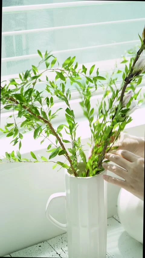 Arranging Flowers in Vase 動画素材 334092937