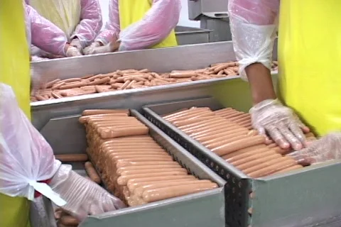 Arranging Hotdog  Stock Footage 128420