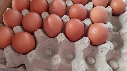 Arranging or putting chicken eggs into the egg carton Stock Footage 284441761