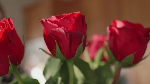 Arranging Red Roses Stock Footage 325193181