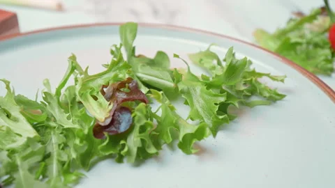 Arranging in a serving plate Seared Tuna with decorative vegetables in 4K. Stock Footage 141310223