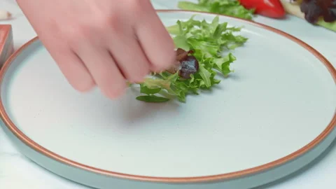 Arranging in a serving plate Seared Tuna with decorative vegetables in 4K. Stock Footage 141310810