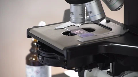 Arrangingmicroscobe Stock Footage 113477956