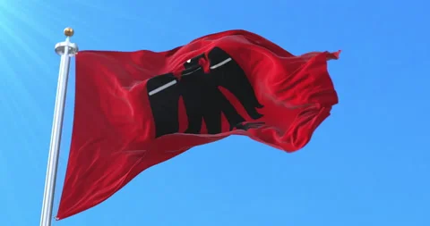 Arrano beltza Flag. Loop Stock Footage 161034382