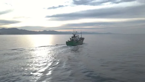 Arrantzaleak Stock Footage 195433207