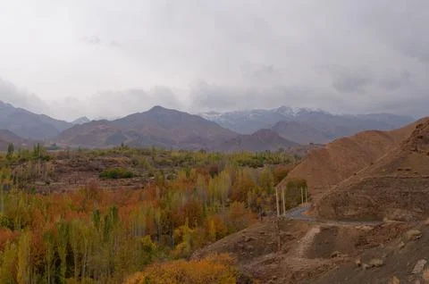 An array of autumn trees in the foreground, with a majestic mountain range in th Stock Photos