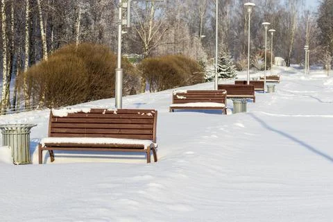 Array of the benches in a park covered with snow. Winter Fotos de archivo