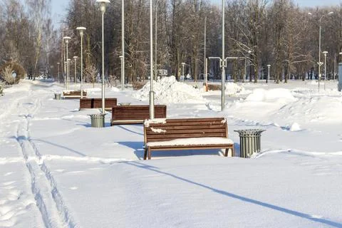 Array of the benches in a park covered with snow. Winter Fotos de archivo