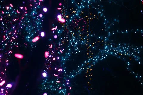 An Array of Blue and Purple Bokeh Christmas Lights at a Festival Stock Photos