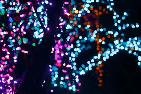 An Array of Blue and Purple Bokeh Christmas Lights at the Festival Stock Photos