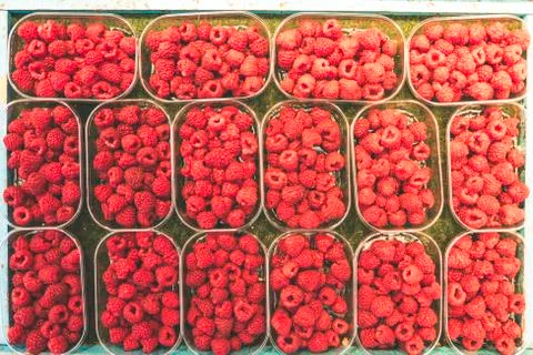 Array of bowls or shells of juicy raspberries on a local street market in Stock Photos