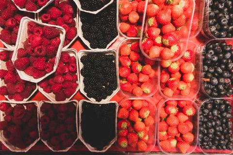 Array of bowls or shells of juicy raspberries, blackberries, strawberries and Stock Photos