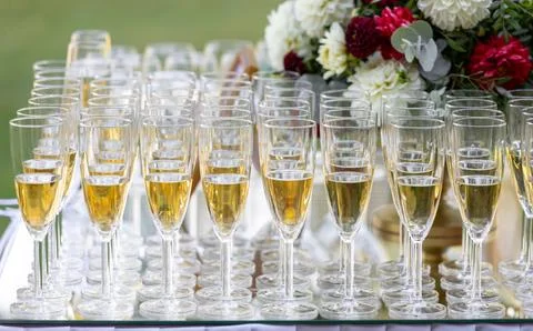 Array of Champagne Glasses on Display at a Celebration Event Stock Photos