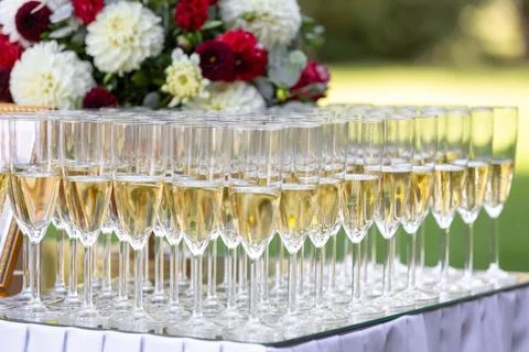 Array of Champagne Glasses on Display at a Celebration Event Foto stock