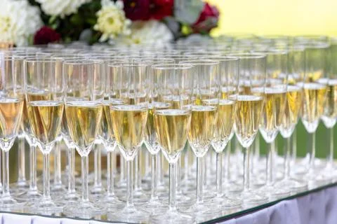 Array of Champagne Glasses on Display at a Celebration Event Stock Photos
