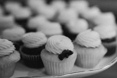 Array of cupcakes adorned with white frosting in grayscale Stock Photos