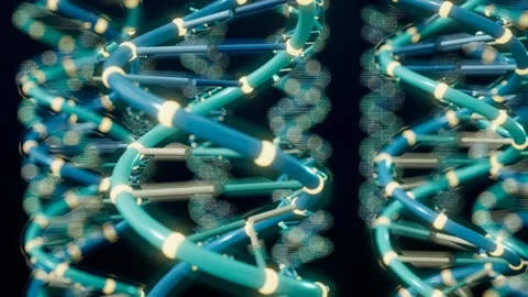 Array of dna strands genome library shallow focus loop Stockbeeldmateriaal 343194487