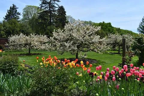 An array of flowers in the middle of a park with trees Fotos de archivo