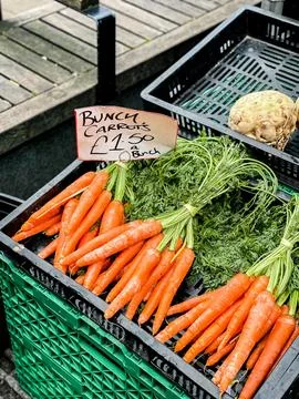 Array of fresh carrots arranged neatly in crates in an outdoor market Foto stock
